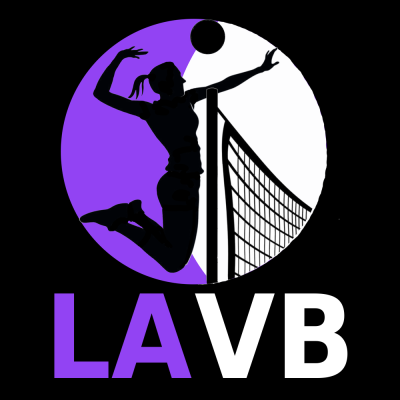 LA Beach Volleyball League